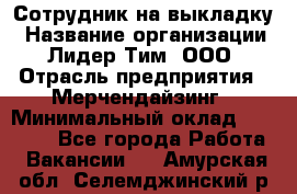 Сотрудник на выкладку › Название организации ­ Лидер Тим, ООО › Отрасль предприятия ­ Мерчендайзинг › Минимальный оклад ­ 18 000 - Все города Работа » Вакансии   . Амурская обл.,Селемджинский р-н